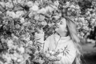 Çiçek kokluyorum. Çocuk ılık baharın tadını çıkarıyor. Çiçek aromasını seven bir kız. Sakura ağacının pembe çiçekleri üzerinde bir çocuk. Botanik konsepti. Kiraz çiçekli sakuranın tadını çıkaran bir çocuk. Yumuşak pembe bulutlar gibi çiçekler