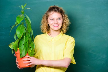 Kolay ev bitkileri. Botanik bitkiler, çiçekler ve bitkiler hakkındadır. Ev bahçesi. Ev bitkilerinin faydaları ve sağlık üzerinde olumlu etkileri vardır. Çiçeklere iyi bak. Saksıda saksı tutan bir kız. Çiçek dükkanı.