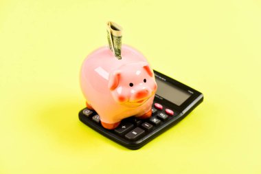 Tasarruf hesabı. Tasarruf. Tasarruf depozitosu tasarruf etmek için uygun esnek bir yoldur. Ekonomi ve finans. Piggy Bank Pembe Domuz dolar banknot ve hesap makinesi doldurdu. Mali refah