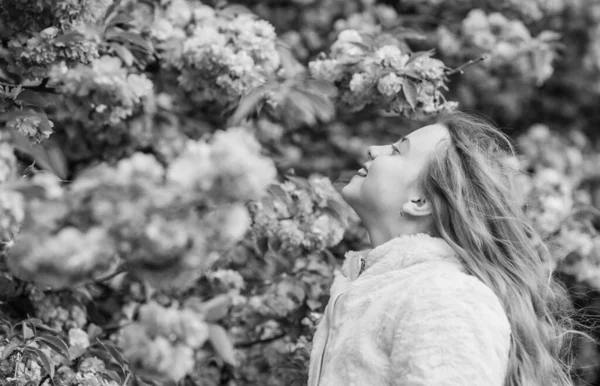 Děvče baví květinové aroma. Dítě na růžových květinách sakurského stromu. Botana. Kluk požívající třešňový Sakura. Květiny jako měkké růžové mraky. Čichá květiny. Děti mají teplé jaro — Stock fotografie