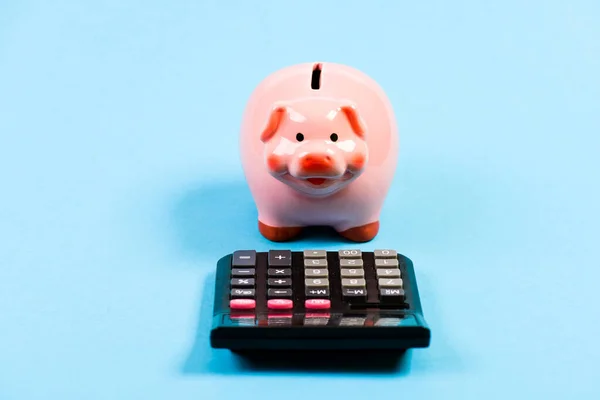 Piggy banco símbolo poupança de dinheiro. Conceito de investimentos. Ajudar a fazer escolhas financeiras inteligentes. Pagar impostos. Calculadora de impostos. Porquinho e calculadora. Os impostos e taxas podem variar. Actividades contabilísticas — Fotografia de Stock