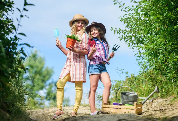 Adorable girls in hats going planting plants. Kids siblings having fun at farm. Girls with gardening tools. Sisters helping at farm. Eco farming concept. On way to family farm. Agriculture concept — Stock Photo, Image