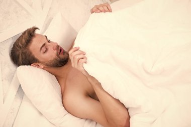 Battaniyenin altına bakan adam. Sabah ağacı resmi olarak gece penisi şişkinliği olarak bilinir. Erkek üreme sistemi. Bu yüzden erkekler sabah ereksiyon olur. Normal ereksiyon meydana gelir. Adam yatakta dinleniyor.