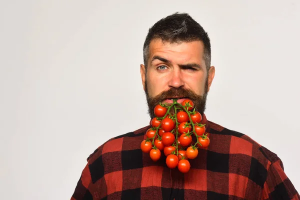 Man håller tomat bär som skägg isolerad på vit bakgrund — Stockfoto