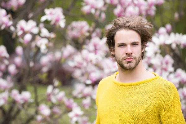 Spring season concept. Man posing in park with blossoming trees