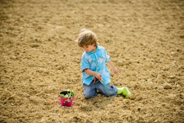 Mutlu çocukluk kavramı. Bahçedeki küçük yardımcı. Küçük bir kürekle ve saksıda bitki yetiştirerek eğlenen bir çocuk. Tarlada ekmek. Tohum ekiyorum. Küçük çocuk tarlaya çiçek ekiyor. Çiftlikte eğlence zamanı.