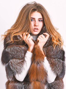 Kürk mağaza modeli sıcak yumuşak kabarık ceket yaka ile keyfini çıkarın. Kürk moda kavramı. Kadın makyaj ve saç veya samur vizon kürk manto poz. Kış elit lüks kıyafetler. Kadın kahverengi kürk manto