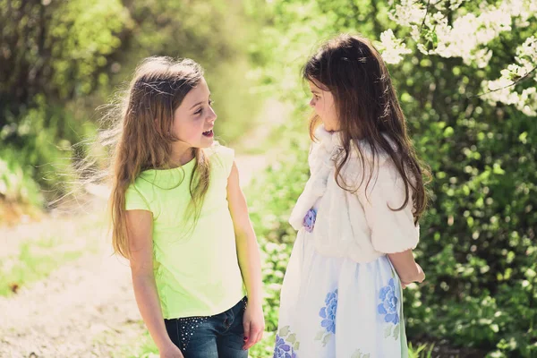 Hermanas caminan afuera cerca de árboles blancos florecientes . —  Fotos de Stock