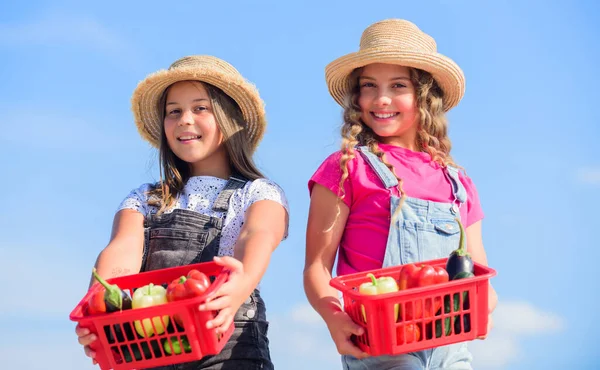 O melhor serviço. colheita de vitamina. Primavera mercado jardim. agricultura infantil. colheita de outono. legumes meninas pequenas no cesto. É natural. crianças na fazenda de verão. Comida orgânica. comida saudável é a vida feliz — Fotografia de Stock