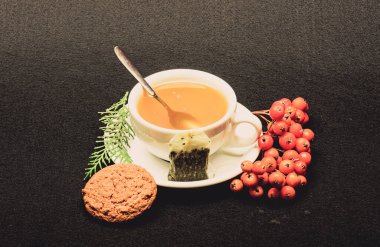 Lezzetli gurme tadı. Seramik fincan sıcak demlenmiş çay içeceği. Sağlık hizmetleri kocakarı ilaçları. Aromatik bir içecek iç. Kafe restoran menüsü. Siyah arka planda bir fincan çay yakın plan. Bitki çayı.