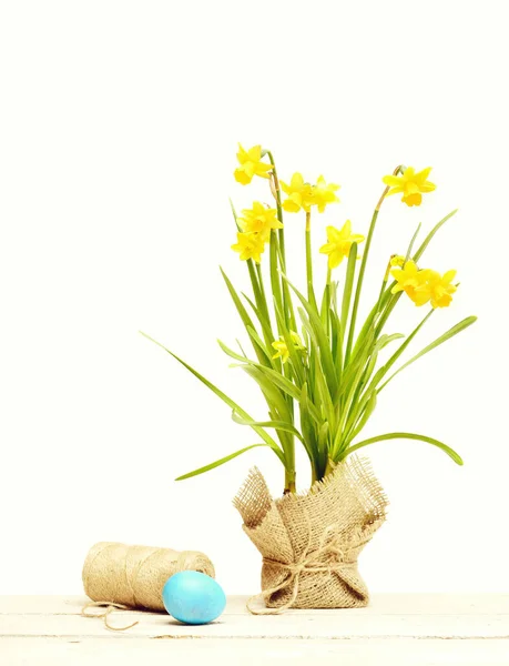 Narciso amarillo primaveral, huevo azul de Pascua e hilo o cuerda —  Fotos de Stock