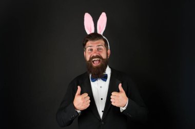 Easter day. Event host. Celebrate Easter. Let me be your bunny. Celebration Easter holiday. Bearded man with long ears. Businessman with long ears. Handsome man wear bunny costume accessory clipart