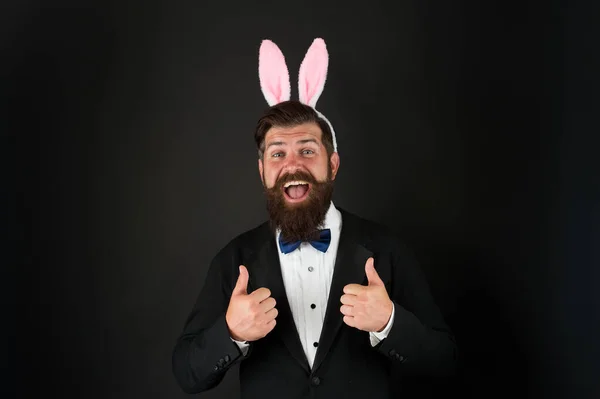 Húsvét napján. Rendezvény házigazda. Ünnepeljük a Húsvétot. Hadd legyek a nyuszid. Húsvéti ünnep. Szakállas, hosszú fülű férfi. Hosszú fülű üzletember. Jóképű férfi visel nyuszi jelmez tartozék — Stock Fotó