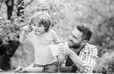 Baba oğul yemek yer ve eğlenir. Çocuklar için menü. Aile ev yapımı yemeklerin tadını çıkarır. Yemek alışkanlıkları. Baba ile küçük çocuk yemek piknik bahçesinde doğa arka plan yiyor. Yaz kahvaltısı. Sağlıklı gıda kavramı