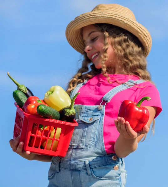 Ekin hasadı. Hasat mevsimi. Doğal vitamin besin değeri. Çocuk arka planda hasat taşır. Ev yapımı sebzeler. Organik yiyecekler. Çiftlikte güneşli bir gün. Sepetteki sebzeler. Kız sevimli çocuk çiftçiliği — Stok fotoğraf