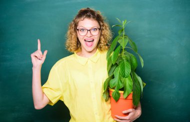 Çevre eğitimi. Tahtada bitki yetiştiren mutlu öğrenci kız. Biyoloji dersinde gözlüklü kadın öğretmen. Okul doğa dersi. Bilgi ağacı. Okul ekolojisi. nakil çiçekleri
