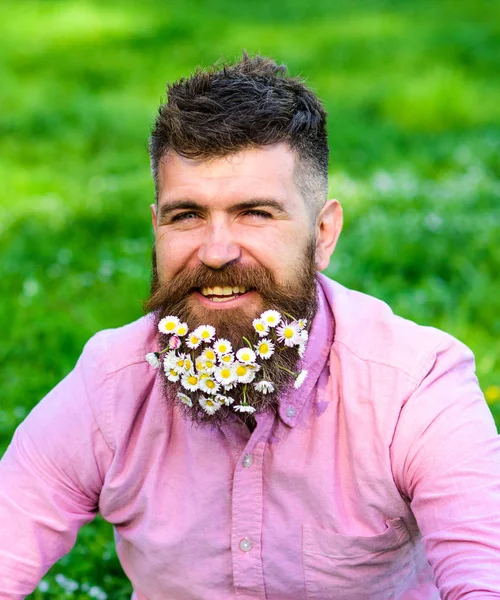 Homem com barba no rosto feliz desfrutar da vida em ambiente ecológico. Homem barbudo com flores de margarida em barba, fundo de relva, desfocado. Conceito de estilo de vida ecológico. Hipster com margaridas parece feliz . — Fotografia de Stock