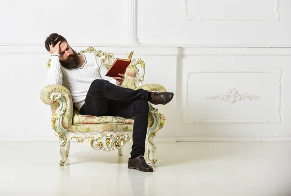 Hombre con barba y bigote se sienta en sillón y libro de lectura, fondo blanco de la pared. Concepto de conocimiento. Científico, profesor de cara seria explora la literatura. Macho smart pasa el ocio con el libro . —  Fotos de Stock