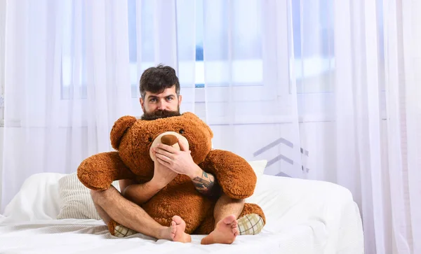 Guy on sleepy face hugs giant teddy bear. Infantilism concept. Man sits on bed and hugs big toy, white curtains on background. Macho with beard and mustache relaxing with plush toy after nap, rest.