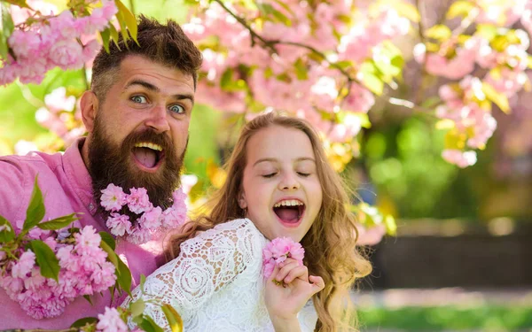 Girl with dad near sakura flowers on spring day. Child and man with tender pink flowers in beard. Father and daughter on happy faces play with flowers and hugs, sakura background. Spring mood concept. — Stock Photo, Image
