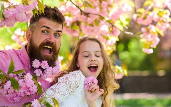 Menina com o pai perto de flores sakura no dia de primavera. Criança e homem com tenras flores cor-de-rosa em barba. Pai e filha em rostos felizes brincam com flores e abraços, fundo sakura. Conceito de humor primavera . — Fotografia de Stock