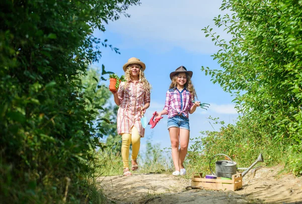 Girls with gardening tools. Sisters helping at farm. On way to family farm. Agriculture concept. Adorable girls in hats going planting plants. Kids siblings having fun at farm. Eco farming concept — Stock Photo, Image
