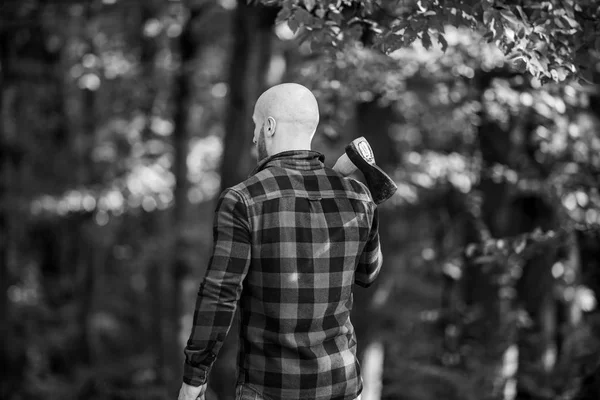 Yürüyüş tatili. Ormanda yürüyüş. Orman bakımı. İnsan ruhunun azmi. Kareli gömlekli adam balta kullanıyor. Ormanda vahşi bir erkek. Güç ve güç. Oduncu baltayı taşır. Kel oduncu. Yakacak odun topla. — Stok fotoğraf