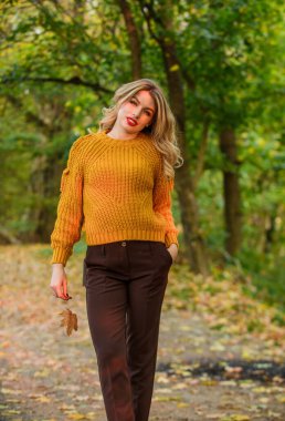 Sonbahar parkında yürü. Süslü kız örgü süveter giyiyor. Tarz tamamen denge ile ilgilidir. Yünlü süveter içinde kendini rahat hisseden muhteşem bir bayan. Moda kıyafetleri. Kadınlar kalın süveter giyer. Arka plan odaklanmaz.