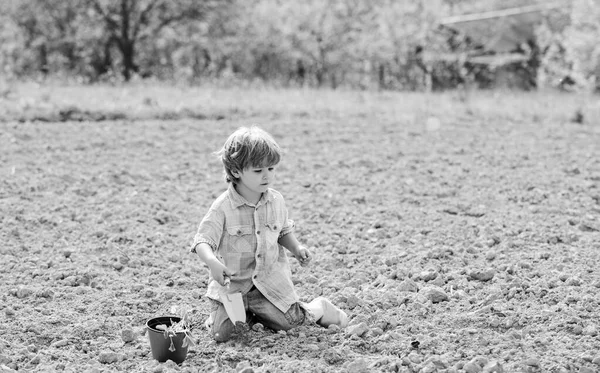 Plantando en el campo. Pequeño ayudante en el jardín. El chico se sienta en el suelo plantando flores en el campo. Tiempo divertido en la granja. Concepto de jardinería. Niño divirtiéndose con pala pequeña y planta en maceta. Plantación de plántulas —  Fotos de Stock