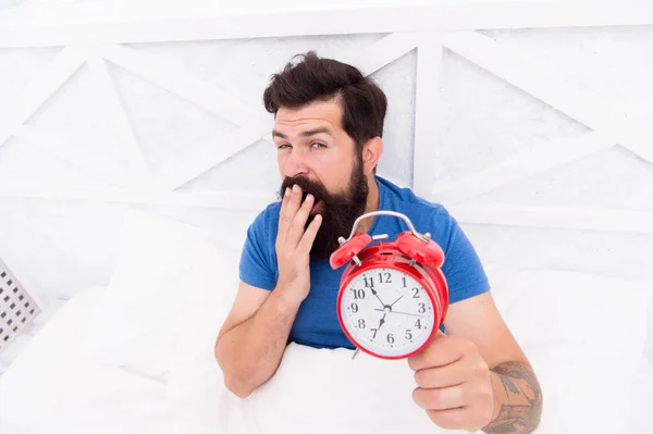 Un barbudo bostezando con despertador. Reloj de hombre barbudo corriendo. Duerme más. El hombre hipster quiere dormir. Hombre en la cama bostezando. silenciar el despertador. la mañana. su día de soltero — Foto de Stock