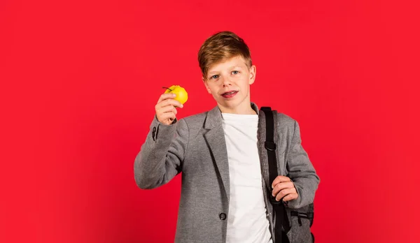 Istruzione scolastica per livello avanzato. Studente pronto per le lezioni. Lezioni per ragazzi. Sviluppo del talento. Un futuro di successo. Scambio internazionale di studenti. Conoscenza scolastica. Programma scolastico regolare — Foto Stock