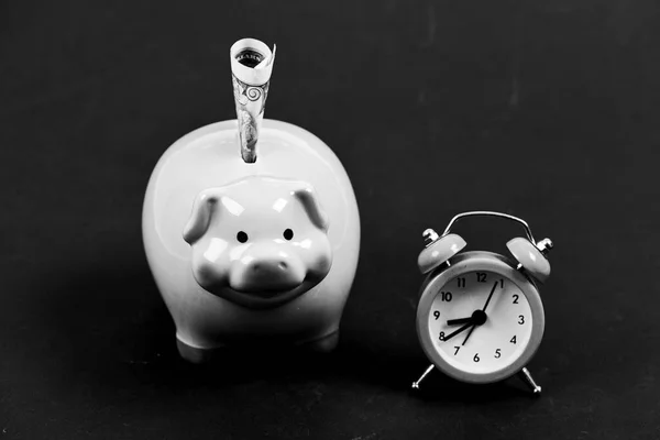 Piggy bank stuffed dollar cash and alarm clock. Financial crisis. Banking account. Bankruptcy and debt. Pay for debt. Bank collector service. Credit debt. Economics and finance. It is time to pay