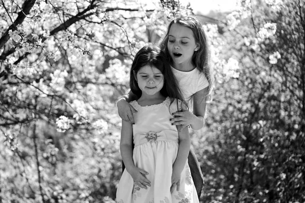 Sisters walk outside near white blooming trees. Children pose together — 스톡 사진