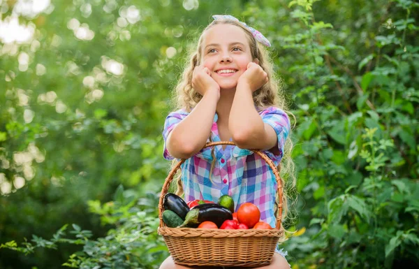 Sağlıklı gıda konsepti. Sağlıklı bir hayat yaşayan tatlı, gülümseyen bir çocuk. Sağlıklı bir yaşam tarzı. Çocuk, sepetin içinde sebze doğası var. Çevre tarımı. Sağlıklı beslen. Yaz hasadı konsepti. Gmo özgür — Stok fotoğraf