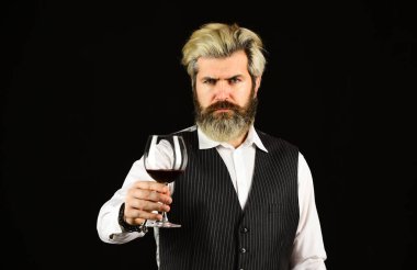 Şarap barı ya da şaraphane. Degustation için. Zarif takım elbiseli sakallı iş adamı ve bir kadeh şarap. Sommelier 'in pahalı bir içeceği var. Zarif garson kırmızı şarap içer. Şarap mahzeninde çalışıyorum.