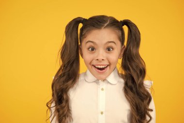 Çok sevimli bir kız öğrenci. Evde eğitim veya normal okul ziyaret. Çalışmanın verimliliği. Duygusal ifade kız öğrenci. Schoolgirl öğrenci uzun saç sevimli at kuyruğu saç modeli. Eğitim programı