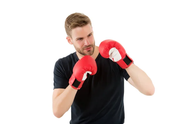 Defence skill. Sportsman boxer with gloves. Boxing concept. Man athlete boxer concentrated face with sport gloves. Boxer practice fighting skills isolated white. Boxer handsome strict coach — Stock Photo, Image