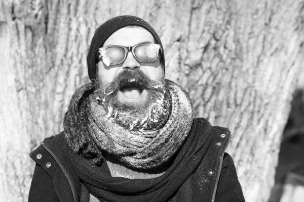 自然を背景に木の近くにハンサムな髭の男 — ストック写真