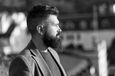 His bearded hair look styled. Bearded man outdoor. Bearded hipster in casual business style. Brutal guy wear mustache and beard on bearded face. Barbershop. Beard grooming