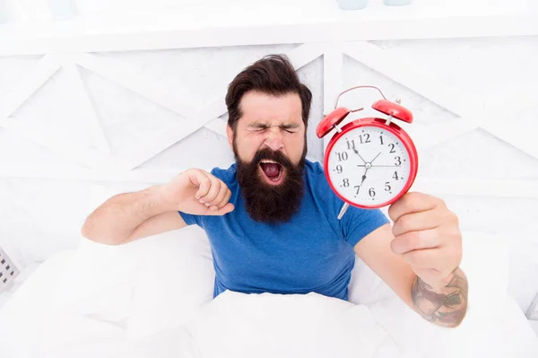 Avantages pour la santé de se lever tôt. Se lever tôt donne plus de temps. Hipster barbu homme au lit avec réveil. Il est temps de se réveiller. Habitudes saines. Début d'une journée géniale. Se réveiller tôt tous les matins — Photo