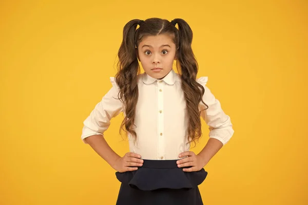 Uma estudante adorável. Expressão emocional estudante. Aluno estudante cabelo longo bonito rabo de cavalo penteado. Programa educativo. Ensino em casa ou visitando a escola regular. Eficiência do estudo — Fotografia de Stock