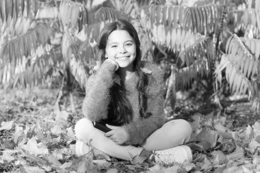 Küçük çocuk arka bahçede ya da parkta öğrenmeyi seviyor. Çocuk kitapla çalışıyor. Kendi kendine eğitim kavramı. Hobi ve ilgi alanları. Çocuk okumayı sever. Öğrenci kız çalışması. Her gün çalış. Kız sonbahar günü kitap okur.