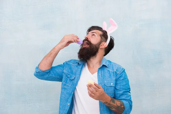 Культурні звичаї та традиції. Великодній кролик кольорові яйця. Святкування весняного свята. Бородатий кролик вуха і великодні яйця. Все, що вам потрібно на Великдень, тут. Хіпстер довгі вуха тримають яйце — стокове фото