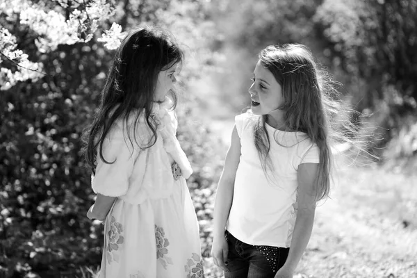 Systrar går utanför nära vita blommande träd. — Stockfoto