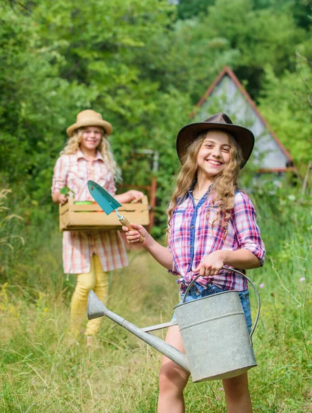 Amar a natureza. Ocupação de jardineiro. Cuidar das plantas. Irmãs a ajudar no quintal. Meninas com ferramentas de jardinagem. Ferramentas de jardim amigáveis para crianças garantem a segurança do jardineiro infantil. Conceito de jardineiro bonito — Fotografia de Stock