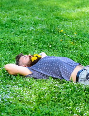 Sakallı sakallı, karahindiba çiçekli sakallı adam çayırda, çimen arka planda yatıyordu. Sakallı karahindiba buketli hippi rahatlatıcı. İlkbahar konsepti. Uyuyan sakallı adam baharın tadını çıkar..