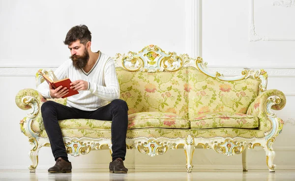 Önképző koncepció. Férfi szakállal és bajusszal ül a barokk stílusú kanapén, könyv, fehér fal háttér. Figyelmesen olvas. Macho koncentrált arcolvasó könyv, tanul — Stock Fotó