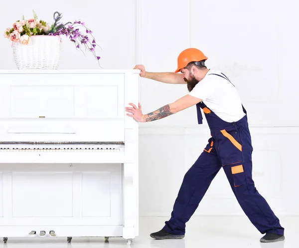 Ο τύπος με τα γένια προσπαθεί να μετακινήσει ένα βαρύ παλιό πιάνο απομονωμένο σε λευκό φόντο. Mover με τριαντάφυλλα τατουάζ στο χέρι του στη δουλειά — Φωτογραφία Αρχείου
