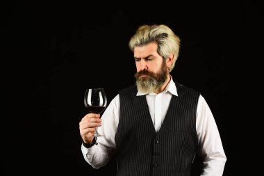 Barmen Degustation 'da kırmızı şarap tadıyor. Erkek şarap garsonu içkinin değerini biliyor. Bir kadeh kırmızı şarap. Şarap mahzeninde nefis bir içkiyle barmen. Tecrübeli şarap garsonu.