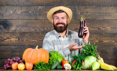 Bahçıvanlık ve tarım sistemleri belirli teknikler önerir. Organik bahçecilik konsepti. Organik ürünler yetiştir. Ev yapımı organik yiyecekler. Sakallı, tahta arka planı olan bir adam. Organik sebzeli çiftçi